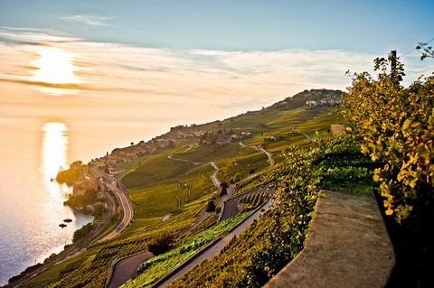 Lavaux 